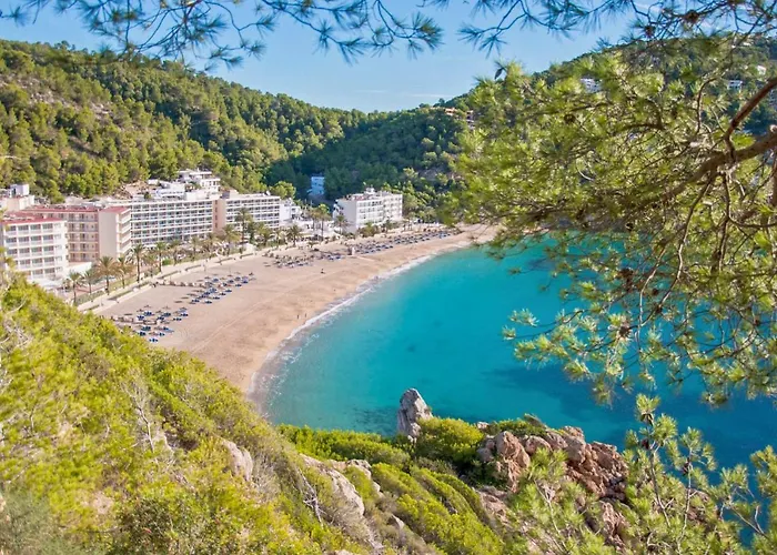 Dom wakacyjny - 4074-79 Mallorca Pollensa